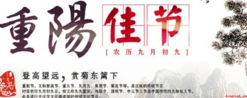菊花须插满头归是什么节日(大菊花须插满头归是重阳节)