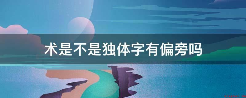 术是不是独体字有偏旁吗(中国汉字的象形字和表意字的区别)