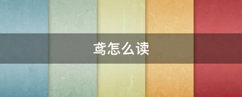 鸢怎么读(鸢念yun。鸢古书籍上说成张伾,也有人说是一种凶狠的鸟,外观)