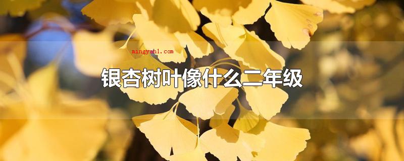 银杏树叶像什么二年级(樱花树的叶子像一把折扇,能给你们产生清凉的觉得)