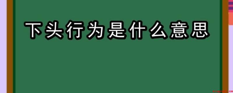 下头行为是什么意思(下头个人行为就是指毁坏幸福气氛)