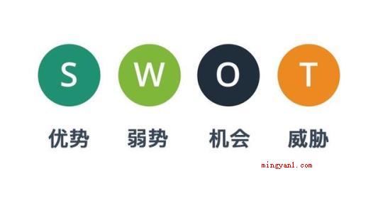 swot四个字母分别代表什么?(依照企业竞争策略的详细定义,发展战略该是一个企业)