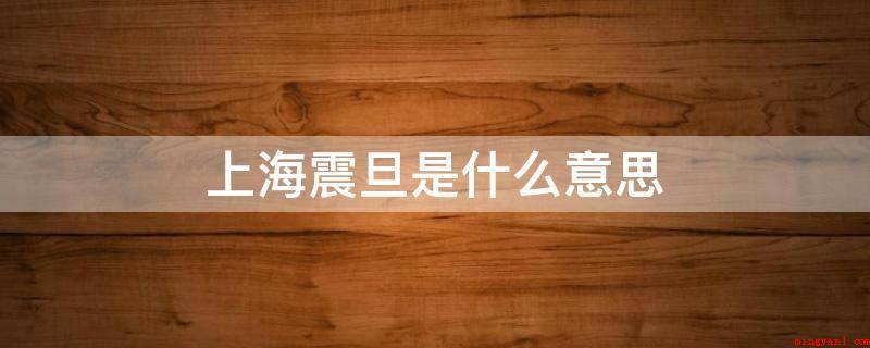 上海震旦是什么意思(【上海震旦集团有限公司招聘信息】)