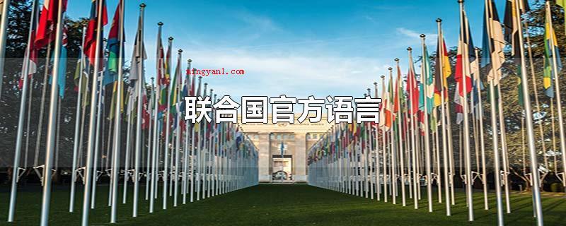 联合国官方语言(联合国的官方网语言有六种)
