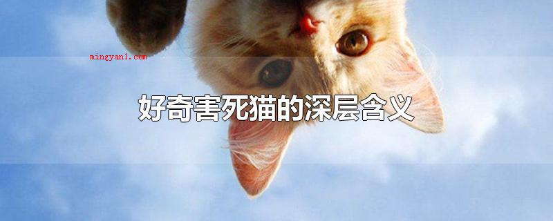 好奇害死猫的深层含义(好奇害死猫源于西方国家)