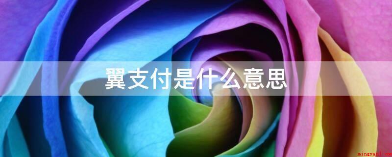翼支付是什么意思(中国电信网集团旗下一款网络金融商品,翼支付跳到碗旁边等业务流)