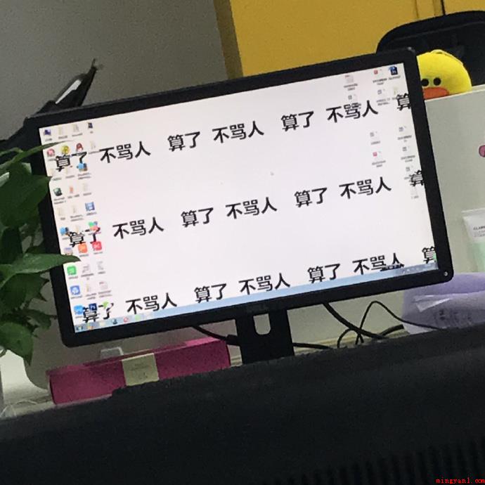 算了不生气