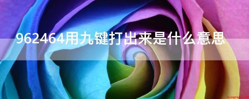 962464用九键打出来是什么意思(962464用九键打下来是我喜欢你的含意)