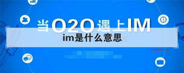 im是什么意思(简略回应是指可以及时推送和接受互联网信息的业务流程)