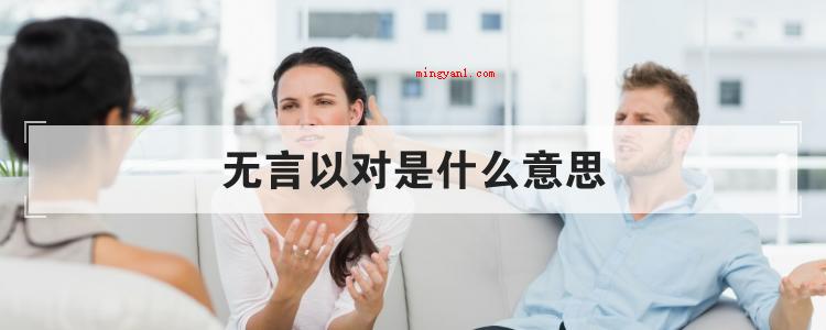 无言以对是什么意思(哑口无言这四字成语是什么意思?)
