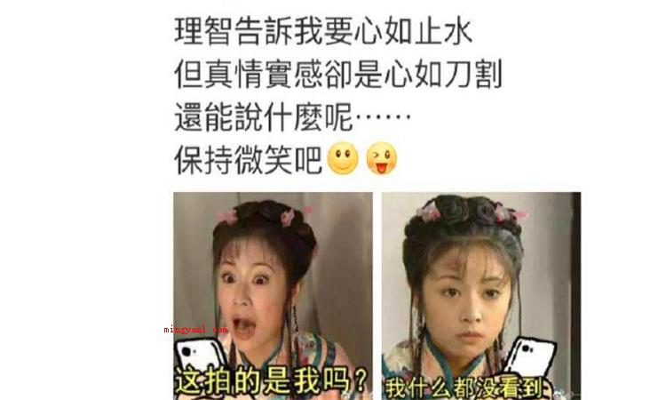 心如止水什么意思(心若止水是个中文成语,含意就是指心)