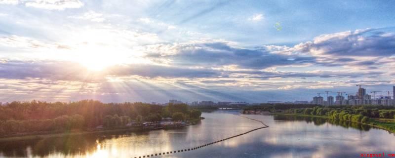 空气与我们的生活有哪些联系(小动物吸气、植物光合作用都离不了空气)