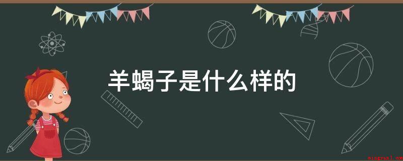 羊蝎子是什么样的(羊蝎子上的肉又嫩又香,百吃不腻,味道辛温,益气,滋阴补阳)