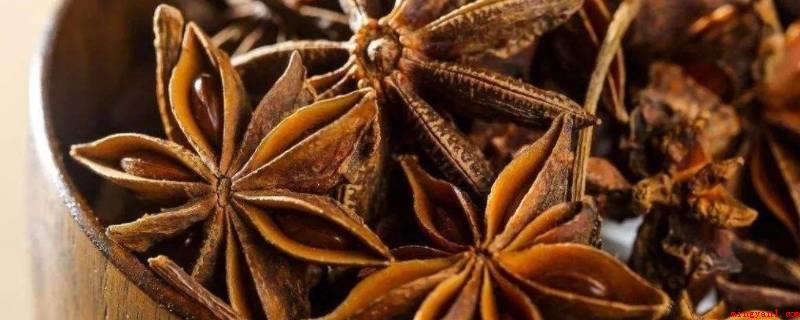 八角和茴香是一样的吗(八角和茴香并不是一样的)