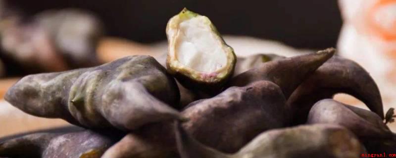 煮熟的菱角可以冷冻储存吗(嫩幼时可作新鲜水果生吃,成熟果可熟菜或生产加工制成菱粉)