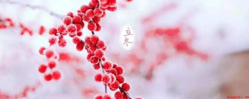 立冬可以做什么活动(冬至可以做的主题活动有祭祀、补冬、吃饺子、酿米酒“交冬糍”)