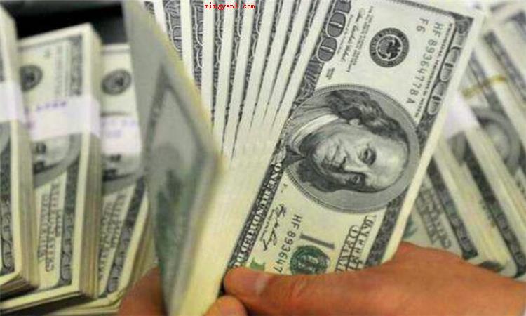 usd是什么意思（简略回应USD是美元的英文贷币）