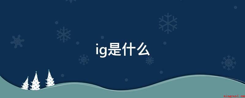 ig是什么(Instagram在移动端融进了许多社会化原素)