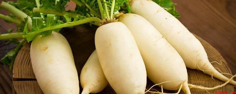 冬季时令蔬菜有哪些(冬天当季蔬菜有萝卜、白菜、西兰花、青菜、莴笋等)