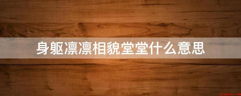 身躯凛凛相貌堂堂什么意思(好似天空降魔主,真的是世间太岁神)