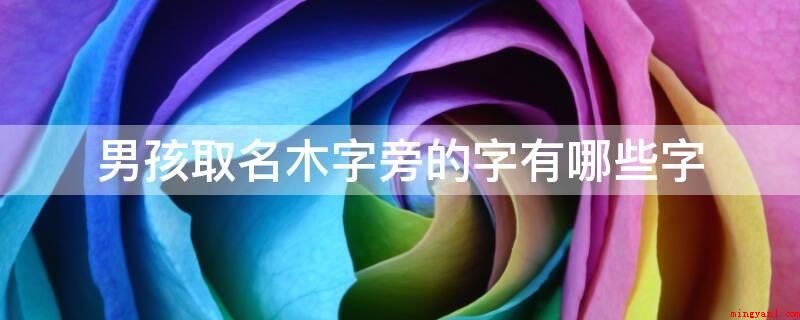 男孩取名木字旁的字有哪些字(桑树叶、桑林、桓文、桥山、梓榆、梦华、荣泽、荣志、荣昌、荣熙)