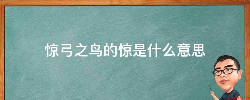 惊弓之鸟的惊是什么意思(惊弓之鸟的惊释意:被惊扰)