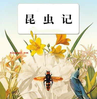 昆虫记每章节的主要内容是什么?(昆虫记第一章节目录蝉和蚂蚁的寓意故事)