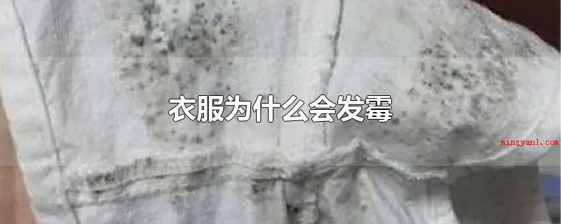 衣服为什么会发霉(衣服会起霉关键有两个缘故)