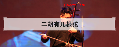 二胡有几根弦(简略回应二胡有二根弦,一根是粗弦(内弦))