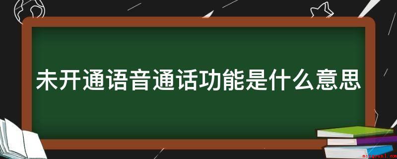 未开通语音通话功能是什么意思(演示机型:Iphone 13)