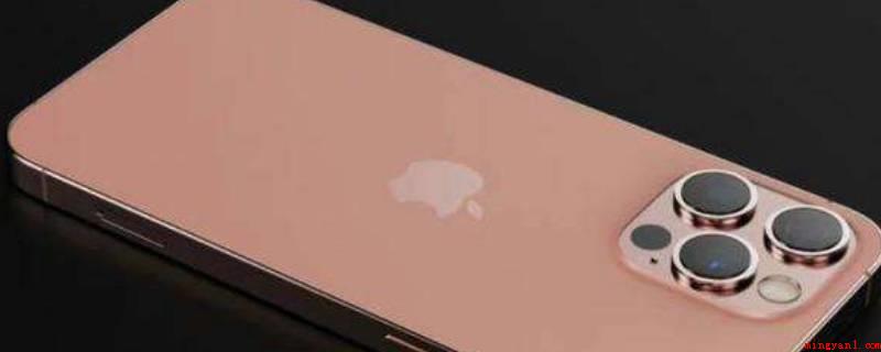 iphone13promax长宽高(iPhone应用小窍门)