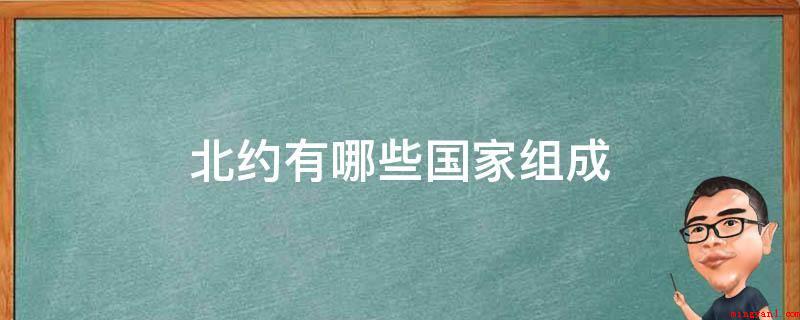 北约有哪些国家组成(北约现阶段有30个成员国)