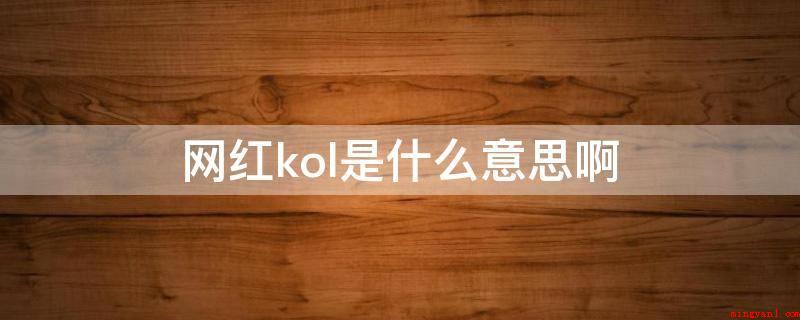 网红kol是什么意思啊(网红kol是重要建议领袖的意思)