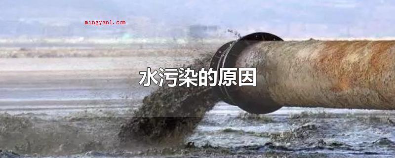 水污染的原因(水污染的原因有:化工废水)