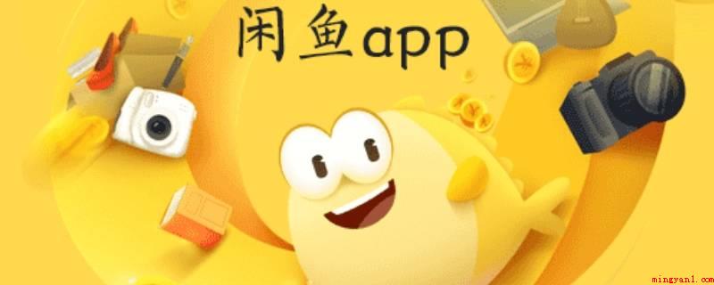 闲鱼转卖什么意思(演示机型:Iphone 13)