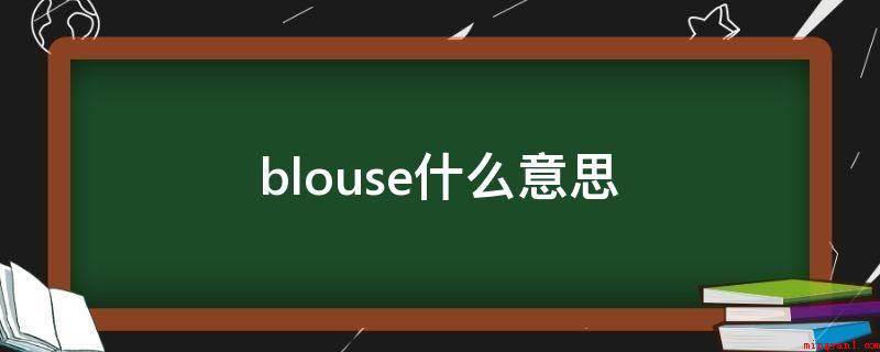 blouse什么意思(blouse释意:女土短上衣,比较宽松衬衣)