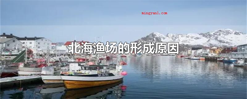 北海渔场的形成原因(北海渔场的产生因素是寒暖流交汇)