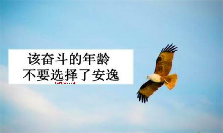 安逸是什么意思（简略回应安逸含意就是指安闲、舒服、悠闲自在,用于形容别人的生）