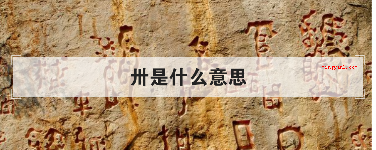 卅是什么意思(数据三十的中文代用字,新中国成立前,在纪年和计数层面是应用频)