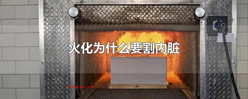 火化为什么要割内脏(火化是不用割内脏器官的)