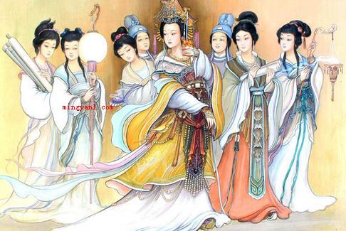 雉奴是什么意思?(雉是野山鸡,奴在唐朝字意很普遍,有爱称,又骂脏话也是有丫鬟的)