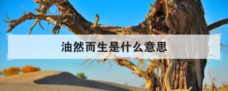 油然而生是什么意思(溢于言表是什么意思呢?)