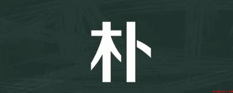 朴怎么读(朴是多音字组词,形容不用装饰)