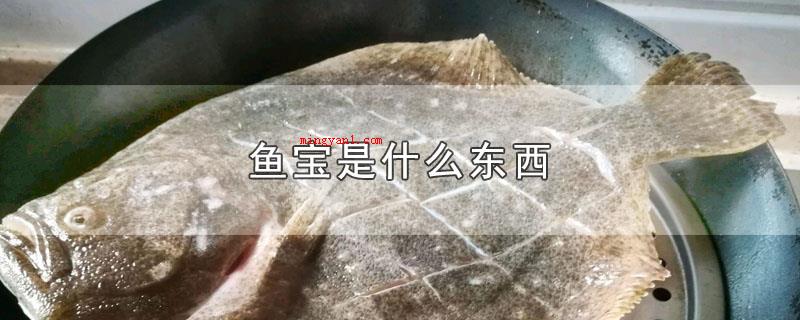 鱼宝是什么东西（鱼宝指的是什么_宠物频道）