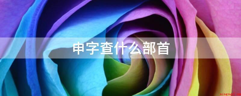 申字查什么部首(申字形结构是单一结构(独体字),总字的笔画5画)