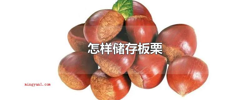 怎样储存板栗(储存板栗的方法有哪些?)