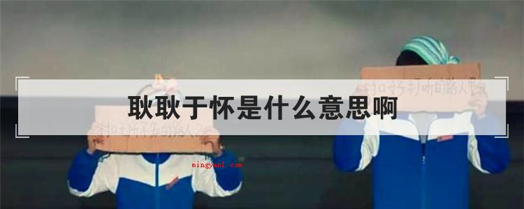 耿耿于怀是什么意思啊(简略回应难以释怀是个中文成语)
