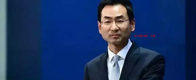 耿爽为啥离任?(耿爽辞掉外交人员的职位)