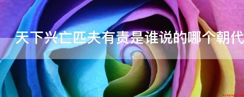 天下兴亡匹夫有责是谁说的哪个朝代(明末,八旗进关,顾炎武反清复)