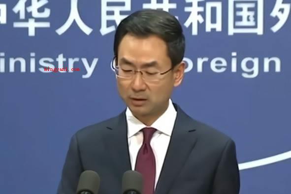 耿爽为啥离任?(耿爽辞掉外交人员的职位)